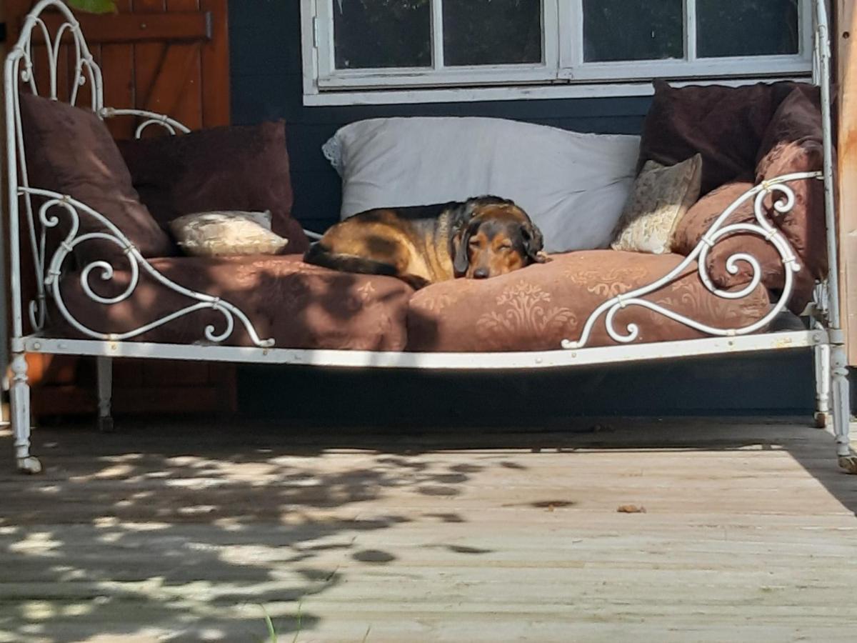 B&B Le Savoir Vivre Bonnes  Zewnętrze zdjęcie