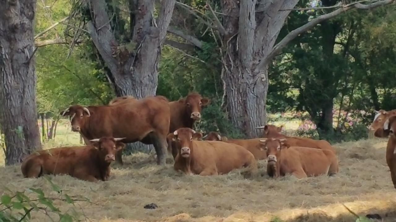 B&B Le Savoir Vivre Bonnes  Zewnętrze zdjęcie