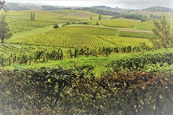 B&B Le Savoir Vivre Bonnes  Zewnętrze zdjęcie