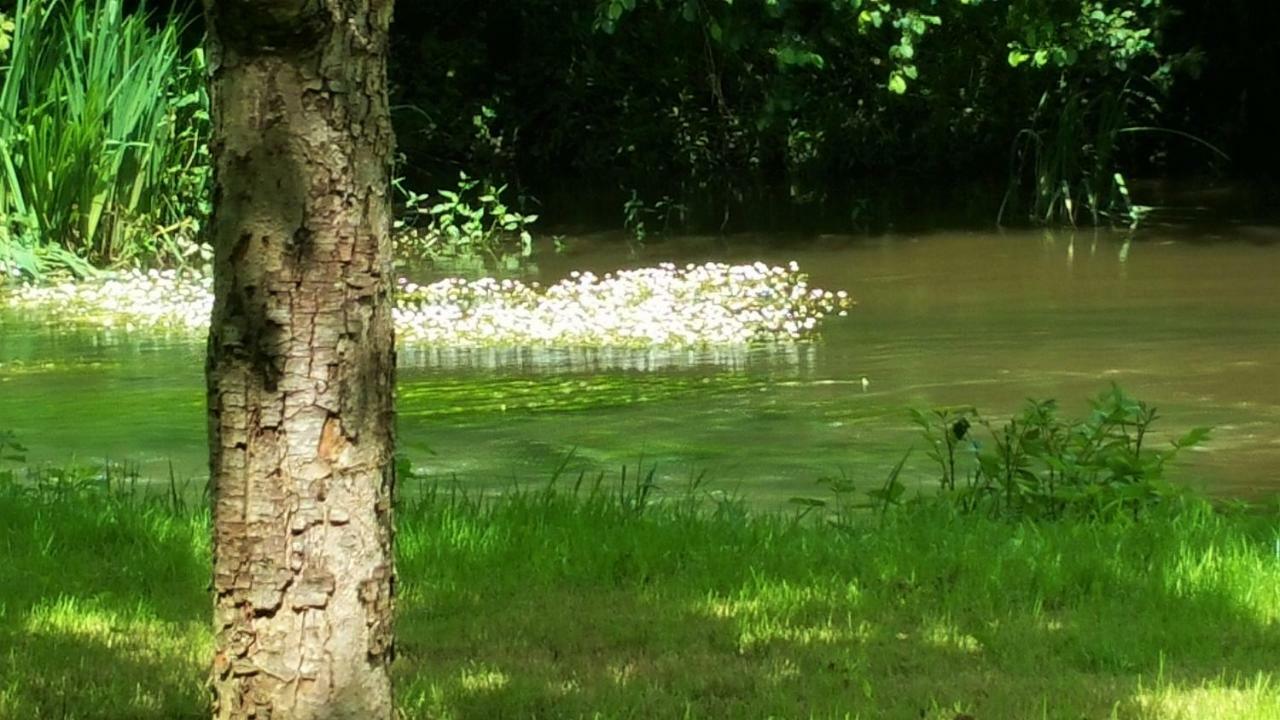 B&B Le Savoir Vivre Bonnes  Zewnętrze zdjęcie
